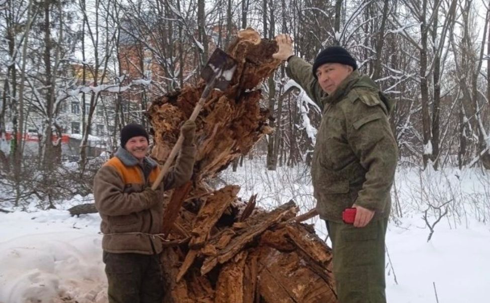 Новочебоксарскую рощу расчищают от валежника 