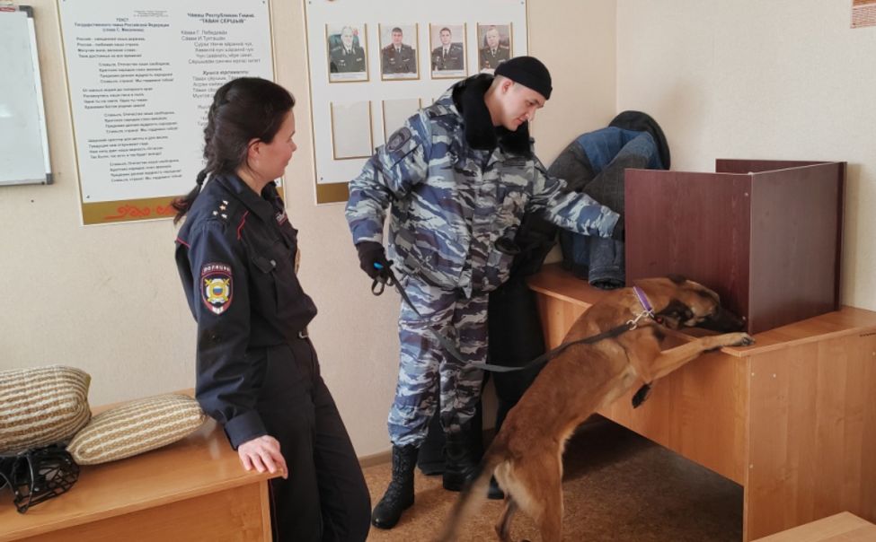 Кинологи рассказали чебоксарским студентам о тонкостях службы
