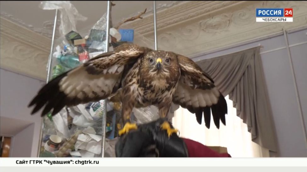 В Чувашском национальном музее открылась уникальная выставка «Генеральная уборка»