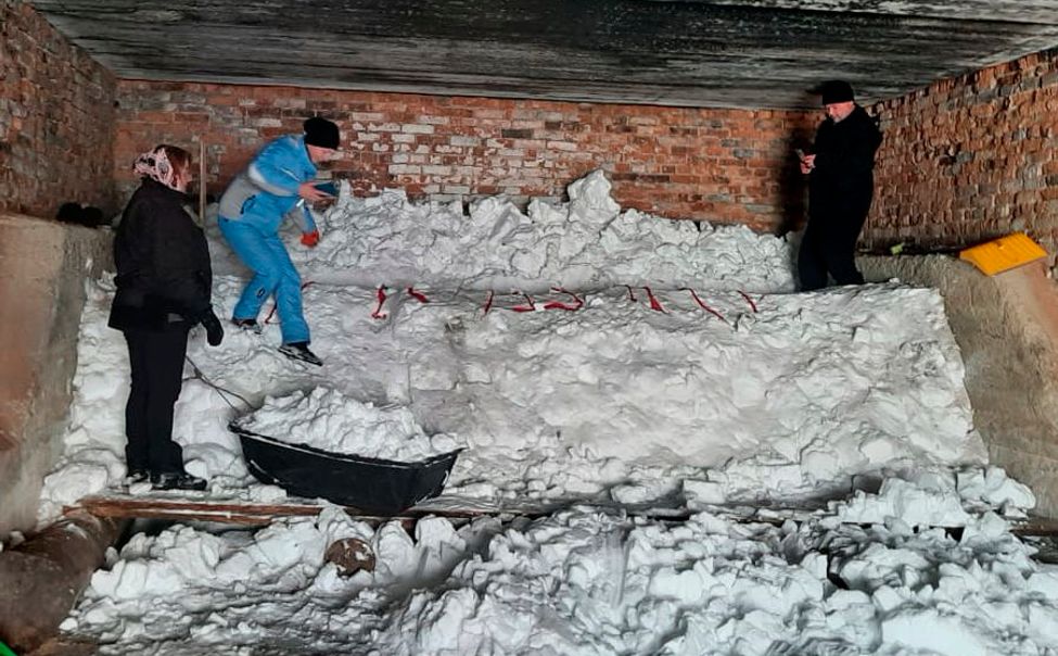 Шемуршинское лесничество готовится к лесокультурному сезону