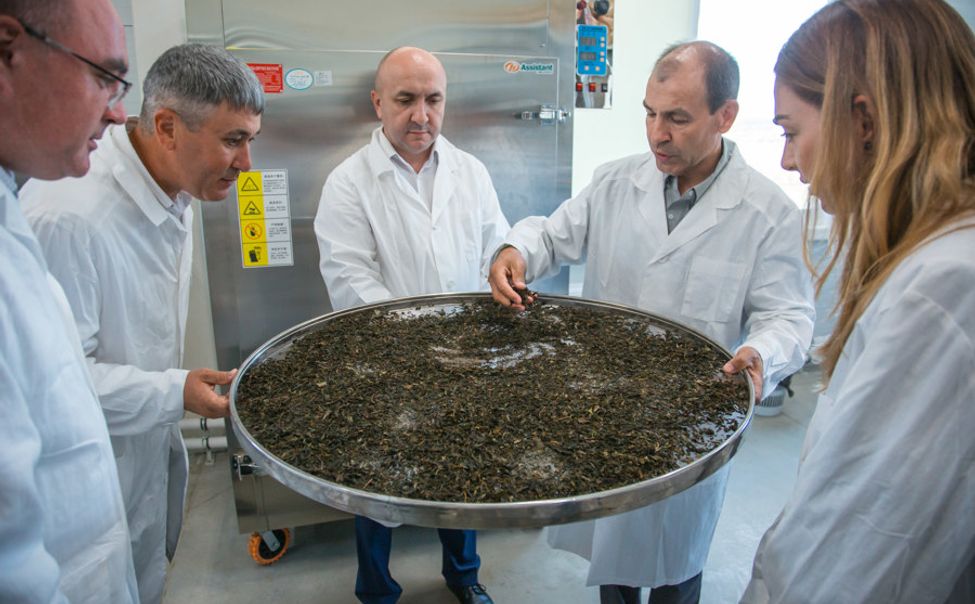 Начинающие кооперативы Чувашии получат грантовую поддержку