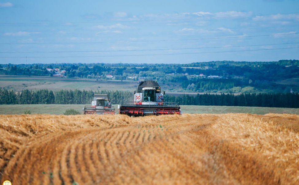 Чувашия  вышла в лидеры ПФО по господдержке аграриев