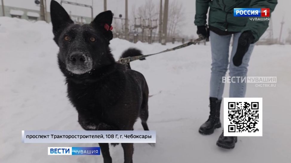 Проект "Найди друга". №61. Глишер