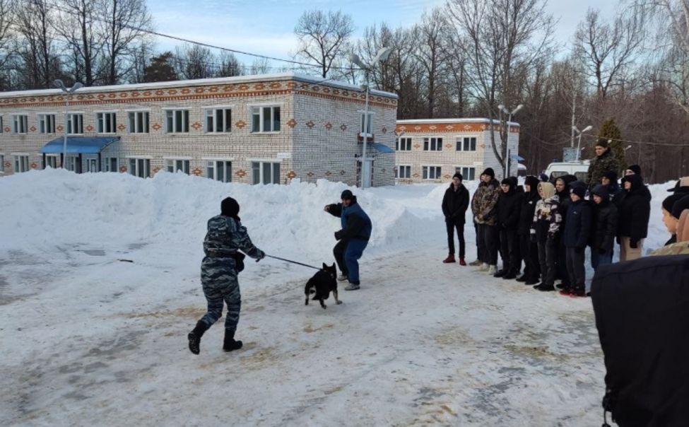 В Чувашии кинологи провели мастер-класс для студентов