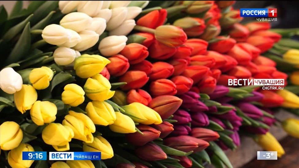 Ҫурхи уяв кӑмӑл-туйӑмне ҫӗклекен илемлӗх 