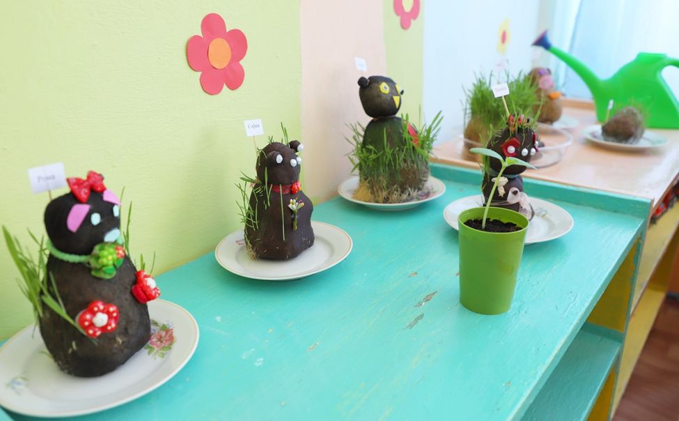 В дошкольной группе Кильдюшевской школы открылась агролаборатория