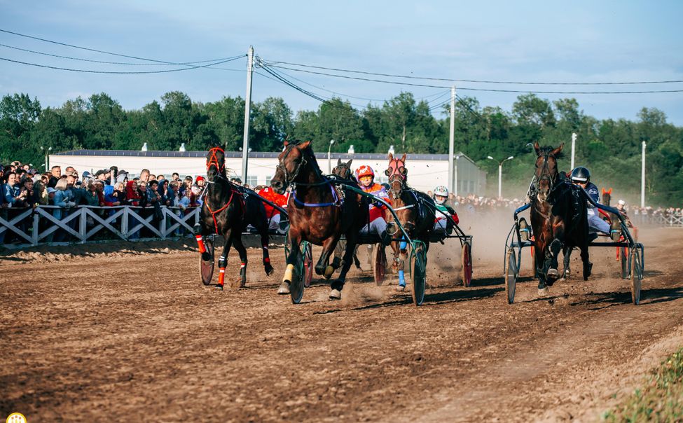 В этом году снова пройдут конные бега на Кубок Главы Чувашии