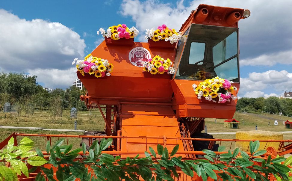 В Чебоксарах к 555-летию разобьют Цветущую карту России