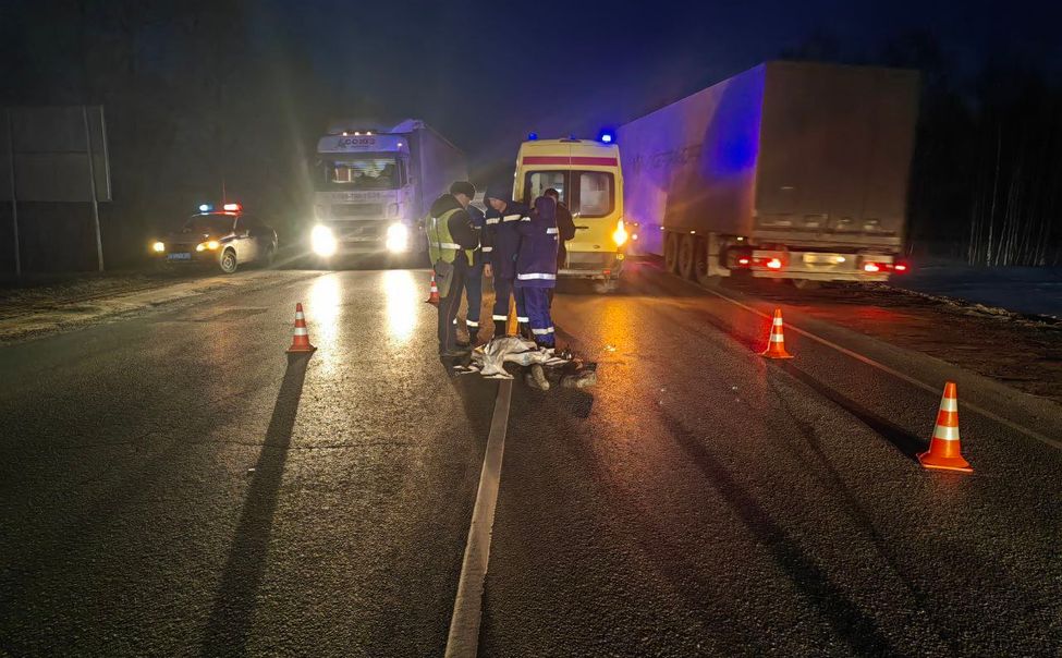 В Чувашии под колесами фуры погибла молодая женщина