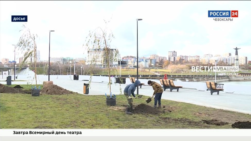 К 555-летию Чебоксар город украсят 663 тысячи цветов