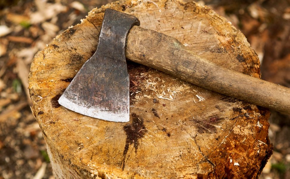 6 ударов топором "потребовалось" жителю Красночетайского округа для убийства пенсионера