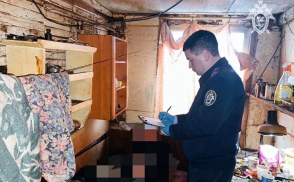 Житель Шумерли зарезал знакомого