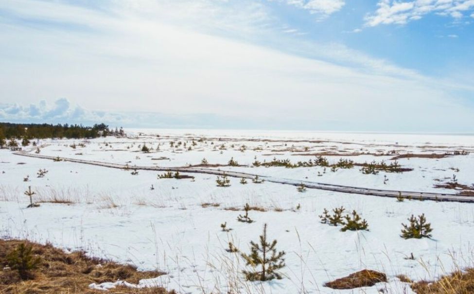 В Чувашии со 2 апреля объявлен режим ЧС из-за выпревания части посевов