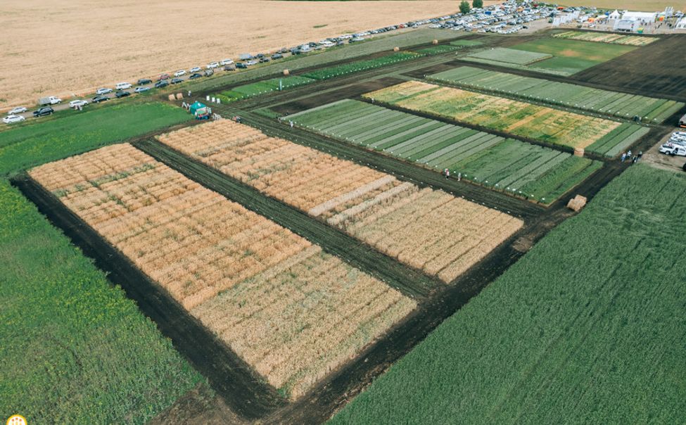 День поля в Чувашии пройдёт 17-18 июля