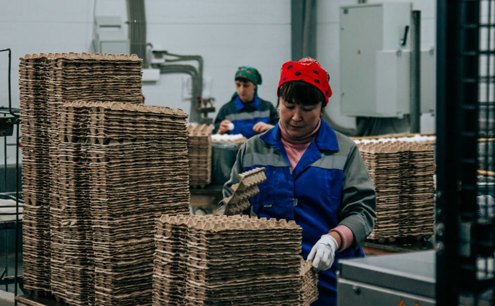 Птицефабрики Чувашии намерены  увеличить производство яиц на 28%