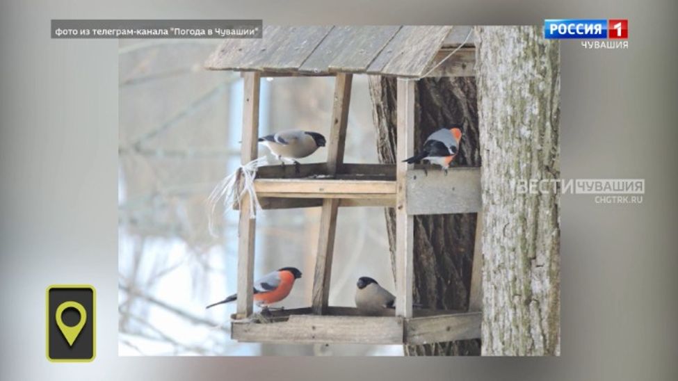 Мобильный репортер. Выпуск от 06.04.2024