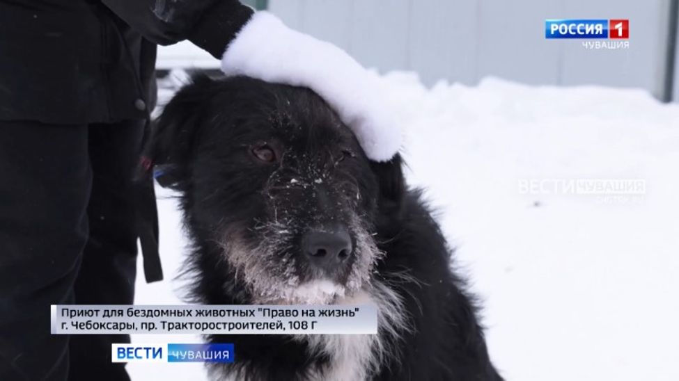 Проект "Найди друга". Никитос