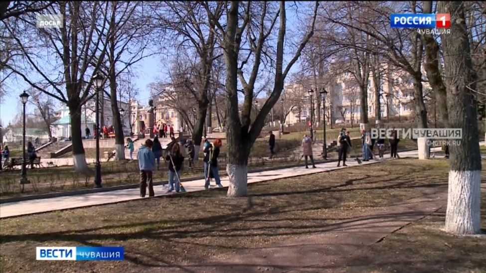 В Чебоксарах высадят 310 деревьев и 295 кустарников