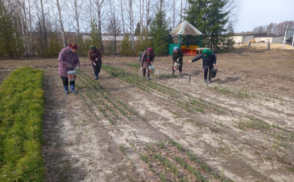 В Чувашии приступили к выкопке сеянцев и удобрению почв лесных питомников