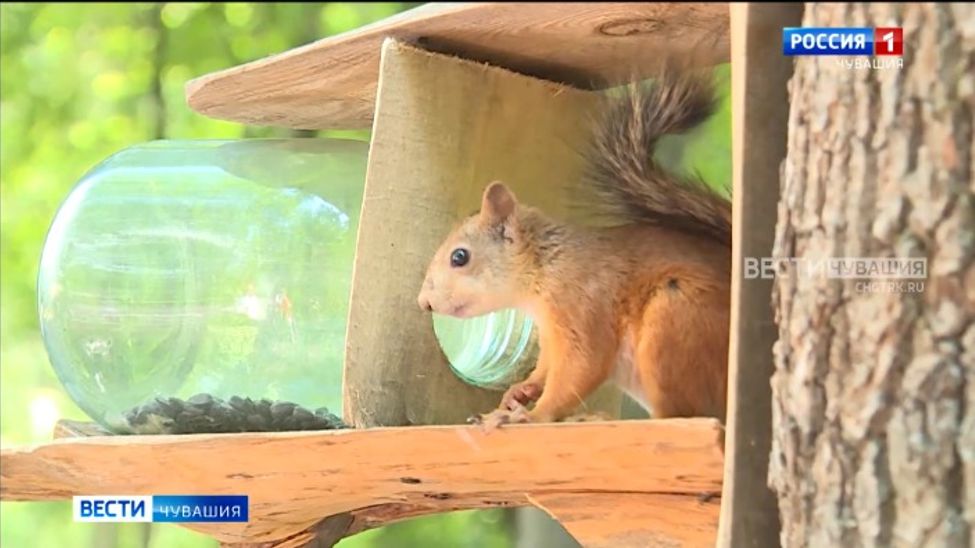 Более 125 тысяч жителей Чувашии проголосовали за объекты благоустройства