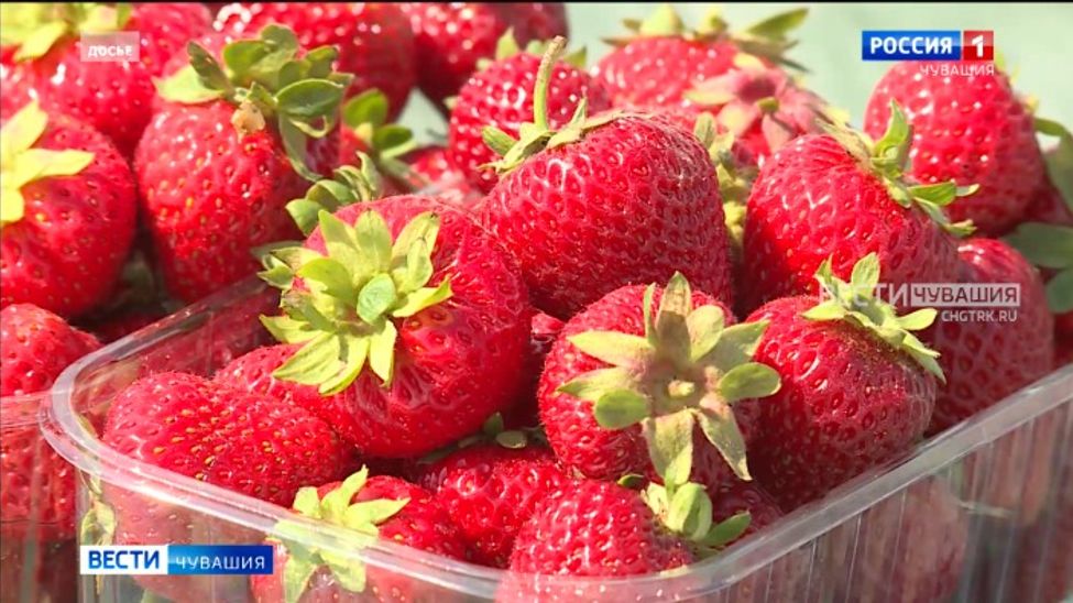 В Чувашии продолжается прием заявок на получение гранта "Агротуризм"