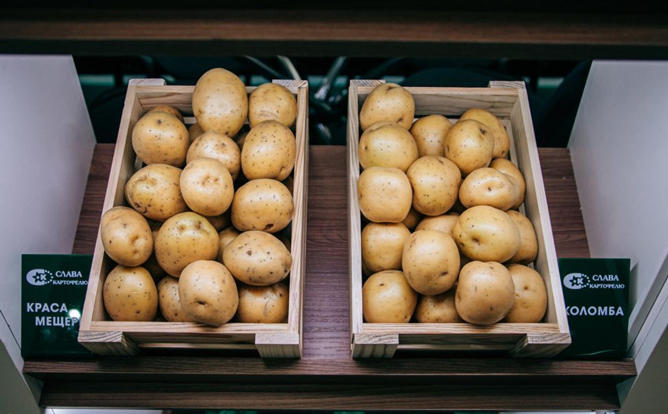 В Чувашии на ярмарке «Весна-2024» будет еще больше картофеля 