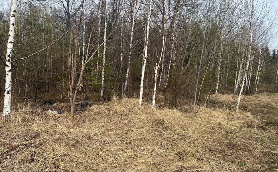Прокуратура потребовала убрать сухую траву у поселений Шумерлинского округа