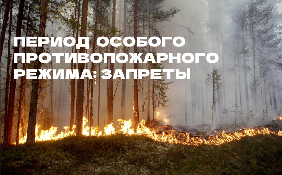 ГКЧС Чувашии напоминает о запретах в особый противопожарный режим
