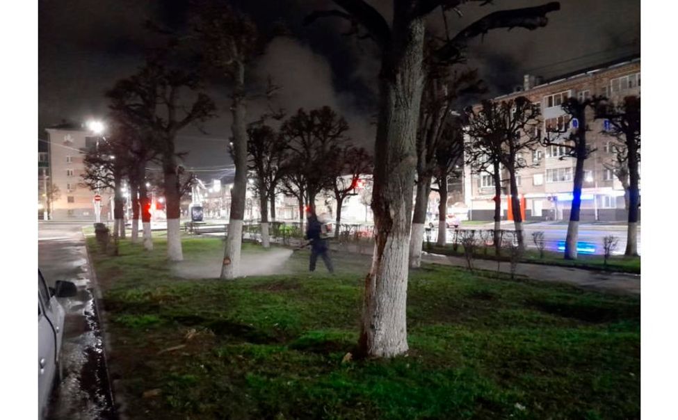 С 20 апреля чебоксарские парки и скверы начнут обрабатывать от клещей