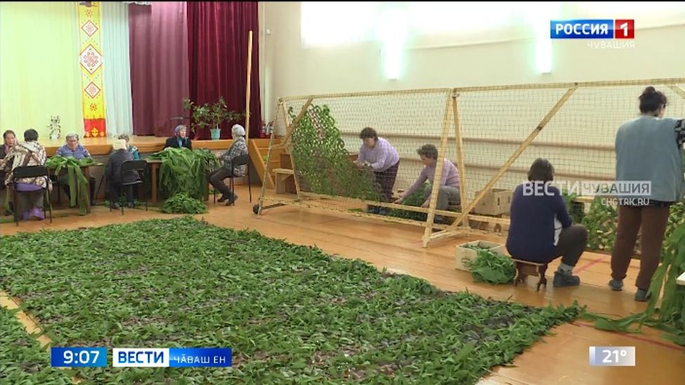 Канаш тӑрӑхӗнче пурӑнакансем хӳтлӗх каррисем ҫыхса тӑшмана хирӗҫ кӗрешекенсене пулӑшаҫҫӗ