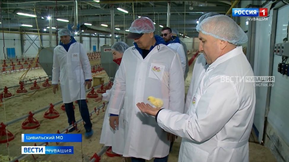 В Цивильском округе возродили птицеферму