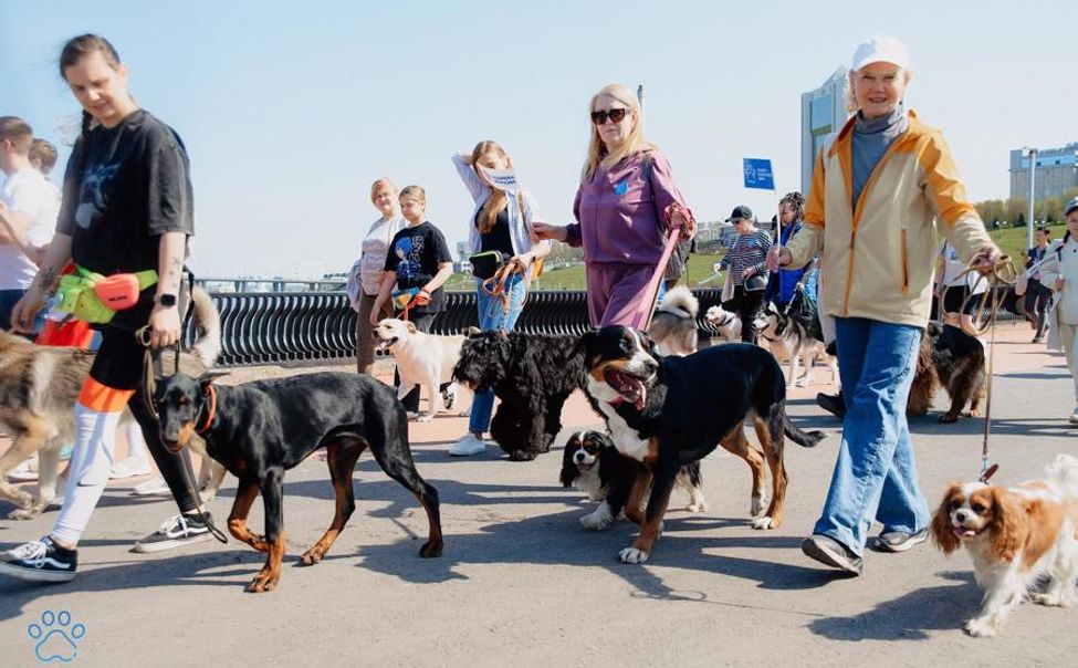 28 апреля в Чебоксарах пройдет Парад собак
