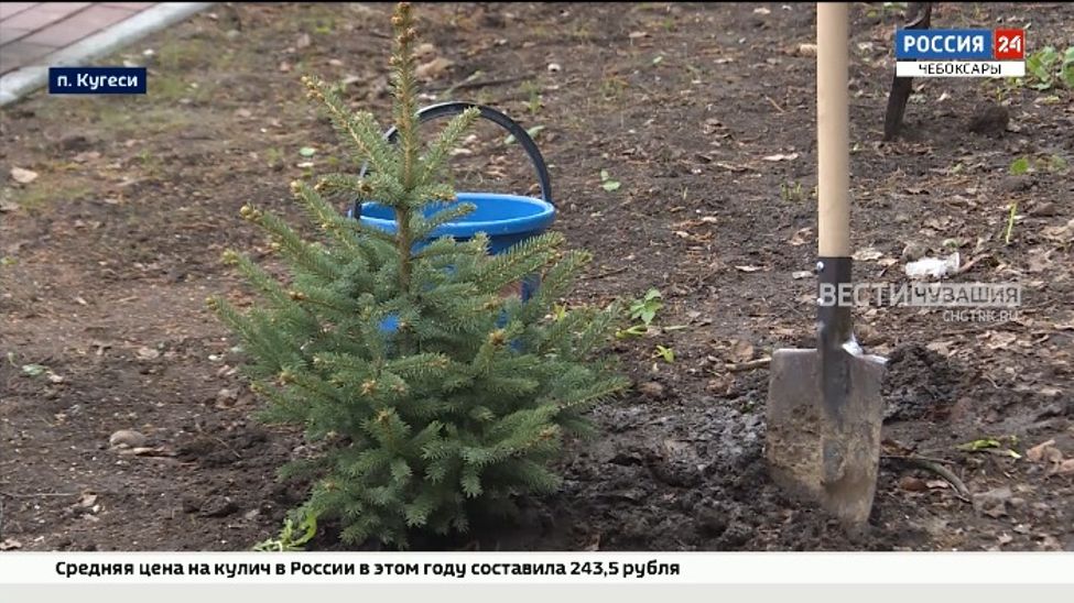 В Чувашии в пятый раз стартовала Международная акция "Сад памяти"