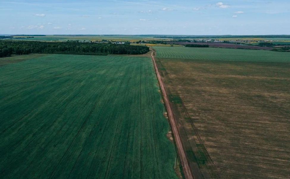 Аграрии Чувашии смогут вернуть до 70% затрат на известкование почв