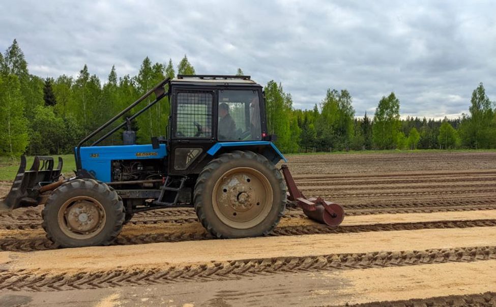 В лесных питомниках Чувашии проводится посев семян лесных растений