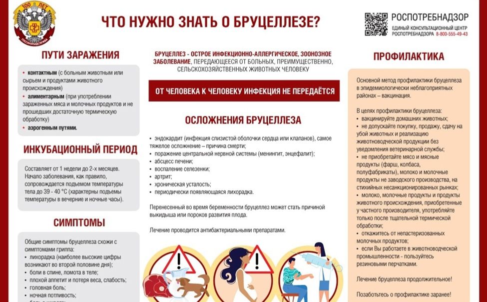 Ветспециалистами Чувашии проведено более 142 тысяч диагностических исследований на бруцеллез 