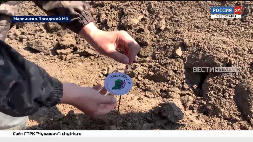В Чувашии в рамках акции "Сад памяти" высадили более тысячи сеянцев дубов
