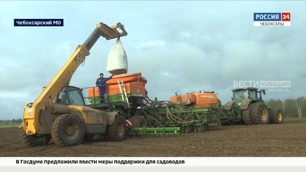 Аграрии Чувашии засеяли более 115 тысяч гектаров яровых зерновых и зернобобовых