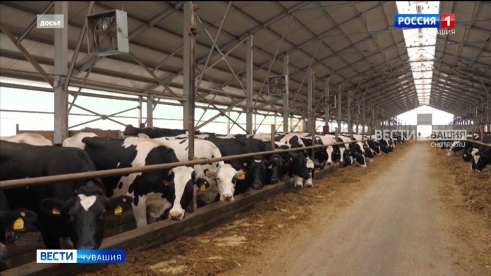 Минсельхоз Чувашии открыл прием заявок на субсидии для кооперативов