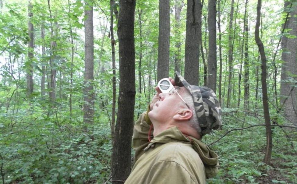 В Мариинско-Посадском лесничестве проводятся лесопатологические обследования