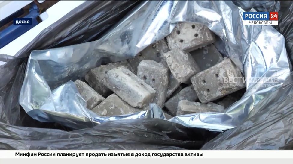 В Чувашию поступило 26 тысяч доз вакцины от бешенства 