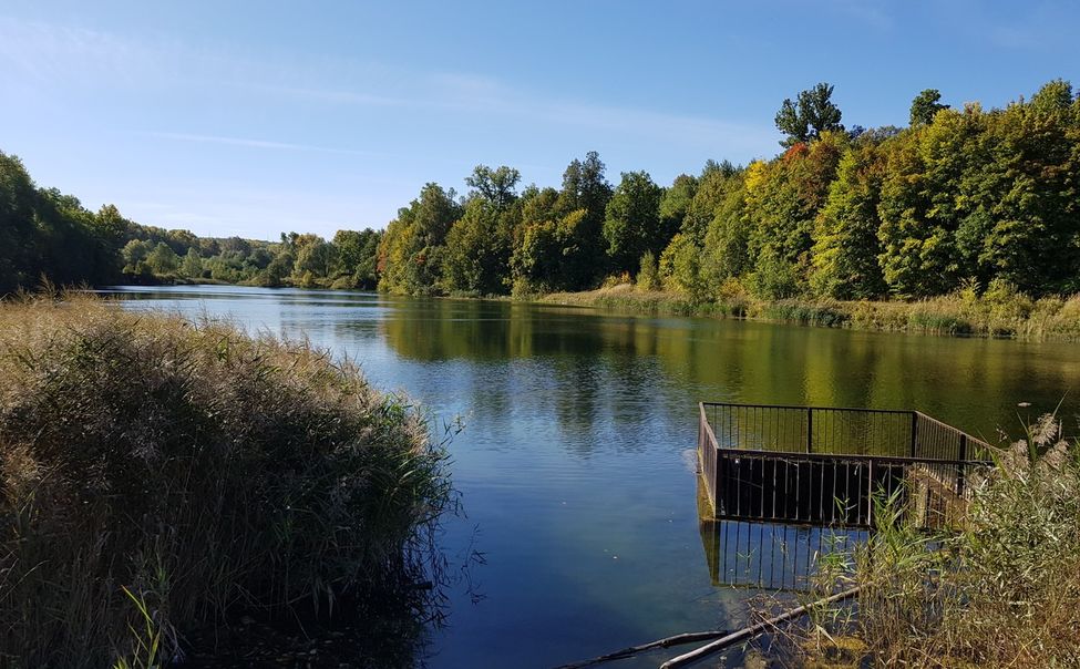В Чебоксарах утонул мужчина, купавшийся в Пионерском пруду