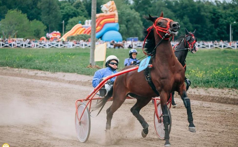 Второй раз в истории состоятся соревнования по конному спорту на Кубок Главы Чувашии