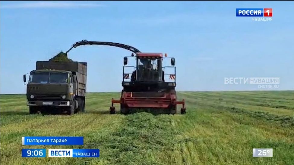 Симӗс калча хумханать