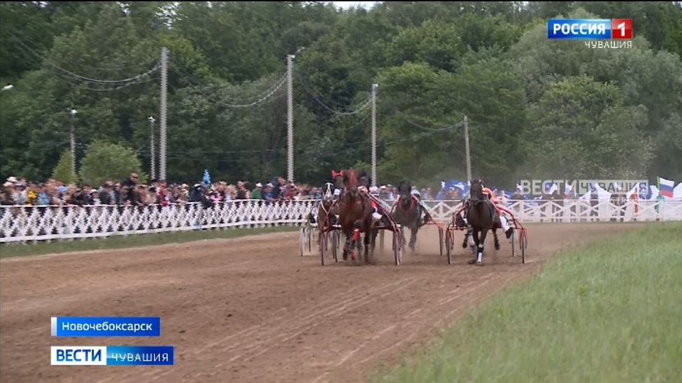 Кубок Главы Чувашии по конным бегам отправился в Шемуршинский округ