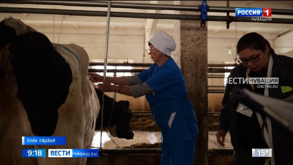 Зоотехник-селекционер аллинче линейка тата циркуль