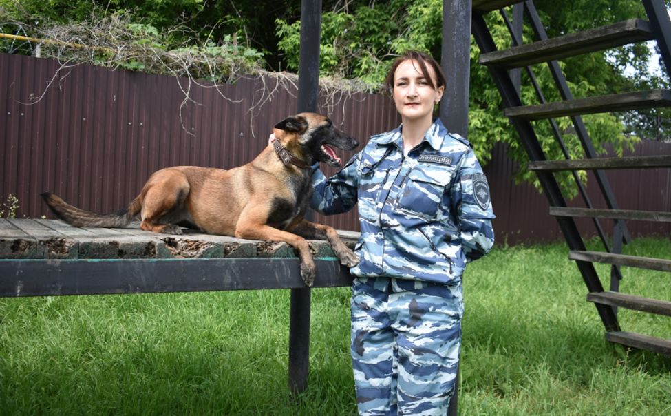 В Чувашии овчарка Шарки помогла отыскать похищенные велосипеды