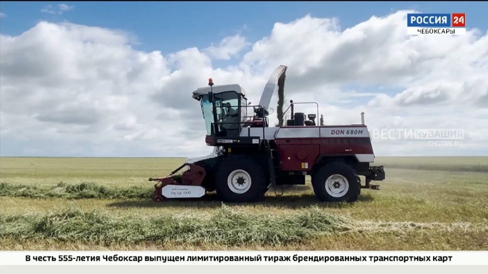 В Яльчикском округе заготовлено 930 тонн сенажа