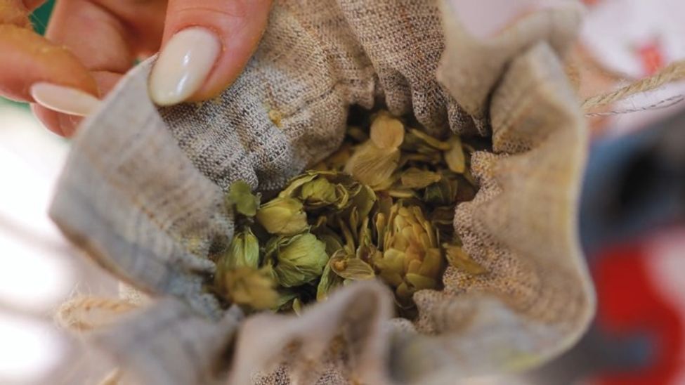 На выставке «Россия» прошла акция «Зеленое золото из Чувашии»