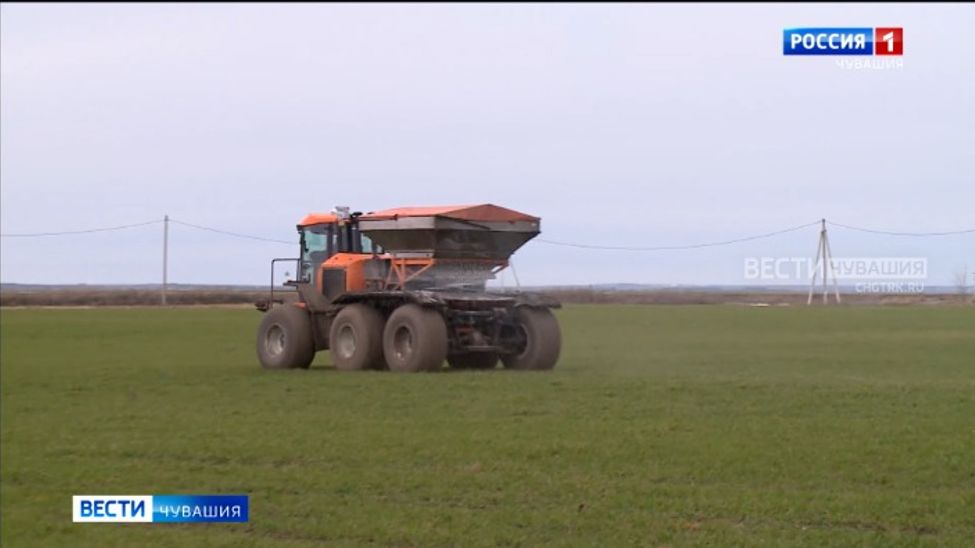 Заморозки в мае и обильные дожди в июне не помешали работе аграриев Чувашии
